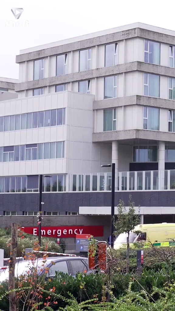 ⁣The Adoption Deception shortmintz