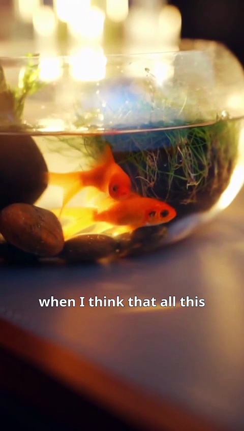 ⁣Love Was Wrong Don't Look Back Full Chinese Drama EngSub