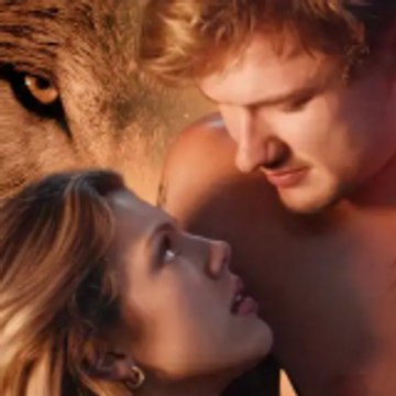 ReelShort-Romance-Shows