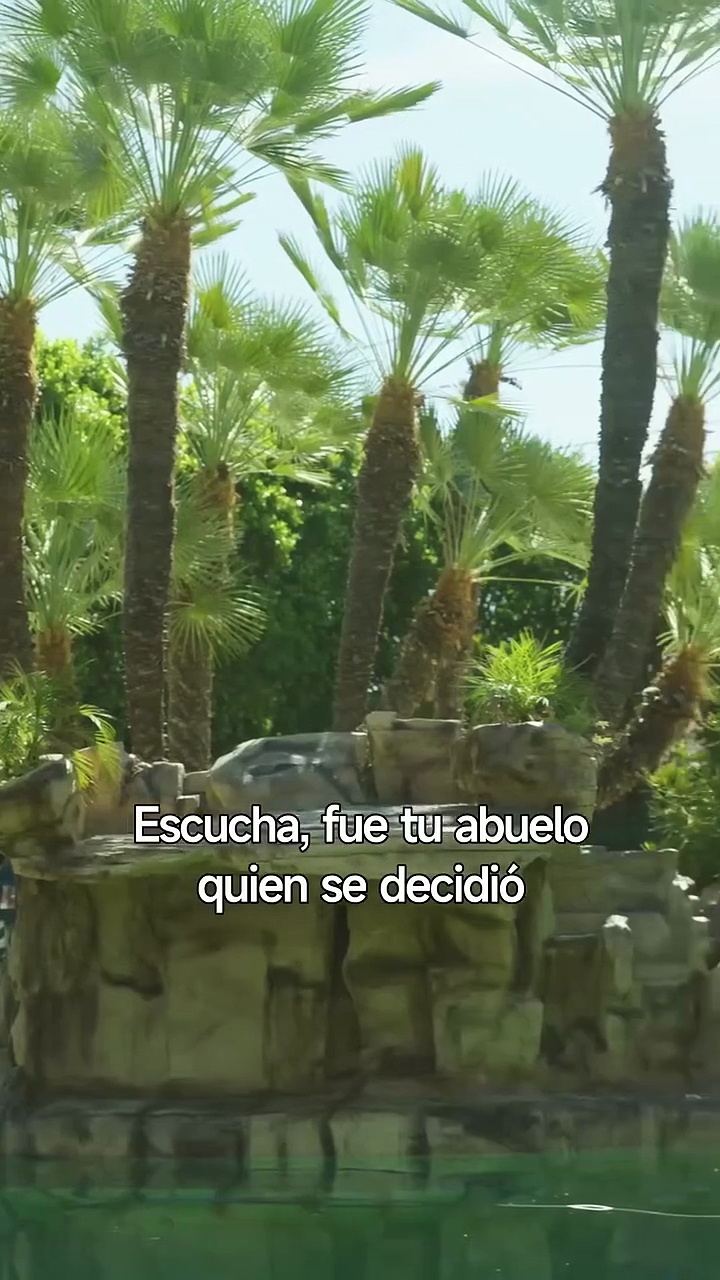 ⁣Cayendo En Los Brazos Del Ceoes -Serie Completa