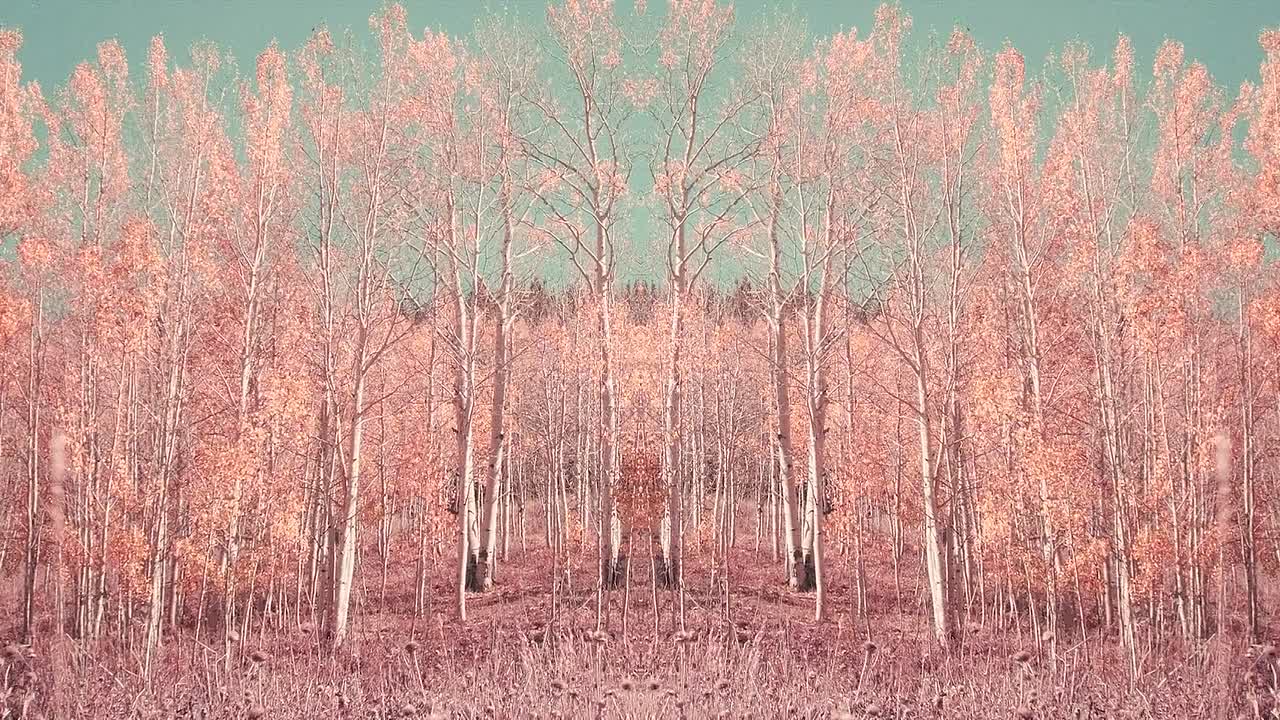 ⁣No More Time 2022 1080p WEBRip x264 AAC-[YTS BZ]