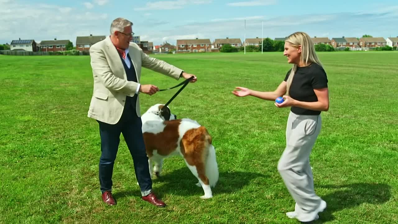 ⁣Dogs Behaving Very Badly S08E02 720p WEB H264-JFF