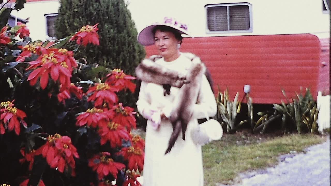 Harlan Cobens Final Twist S01E02 1080p WEB