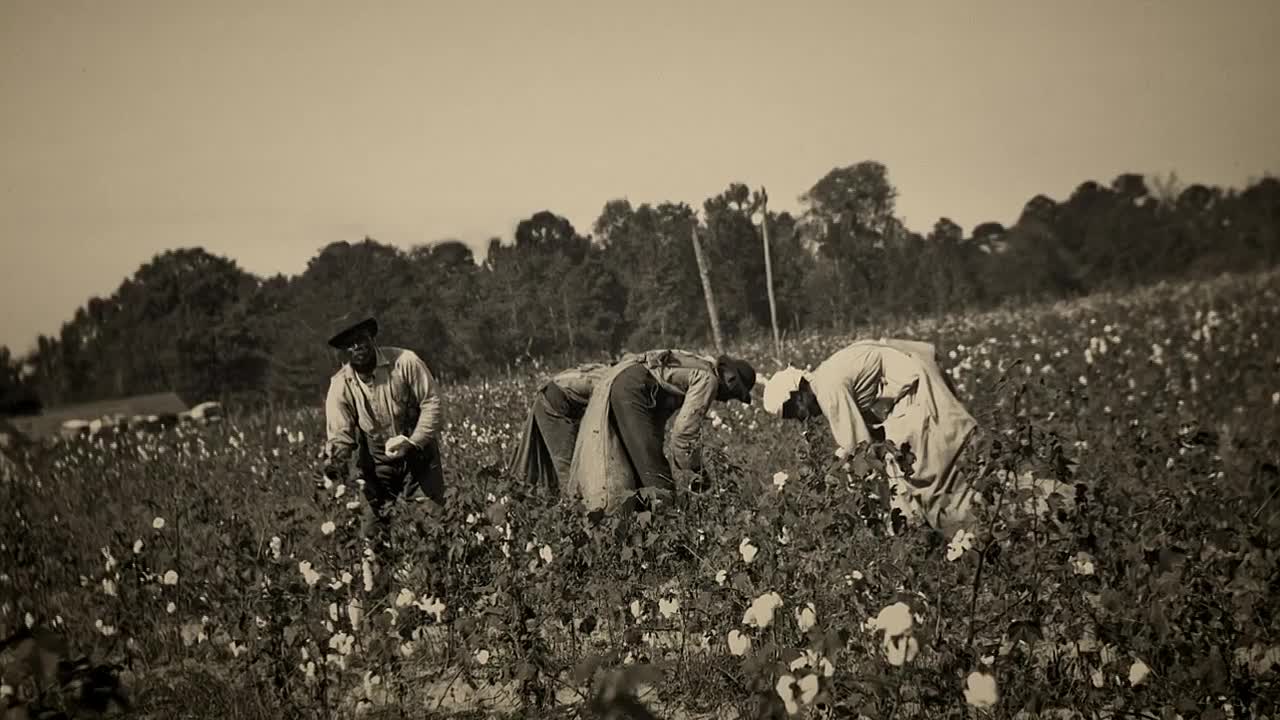 Finding Your Roots S12E02 Great Migrations 720p AMZN