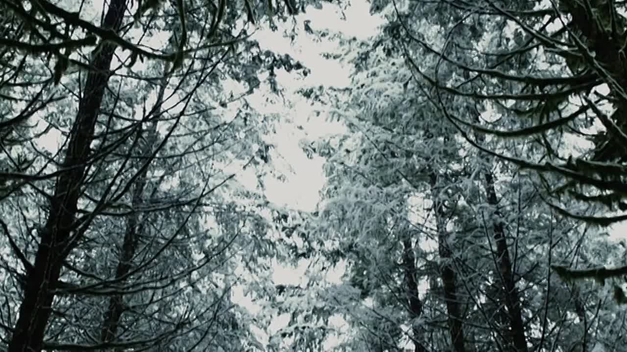 ⁣Mortal Kombat Legacy 2011 720p BluRay x264 AAC-