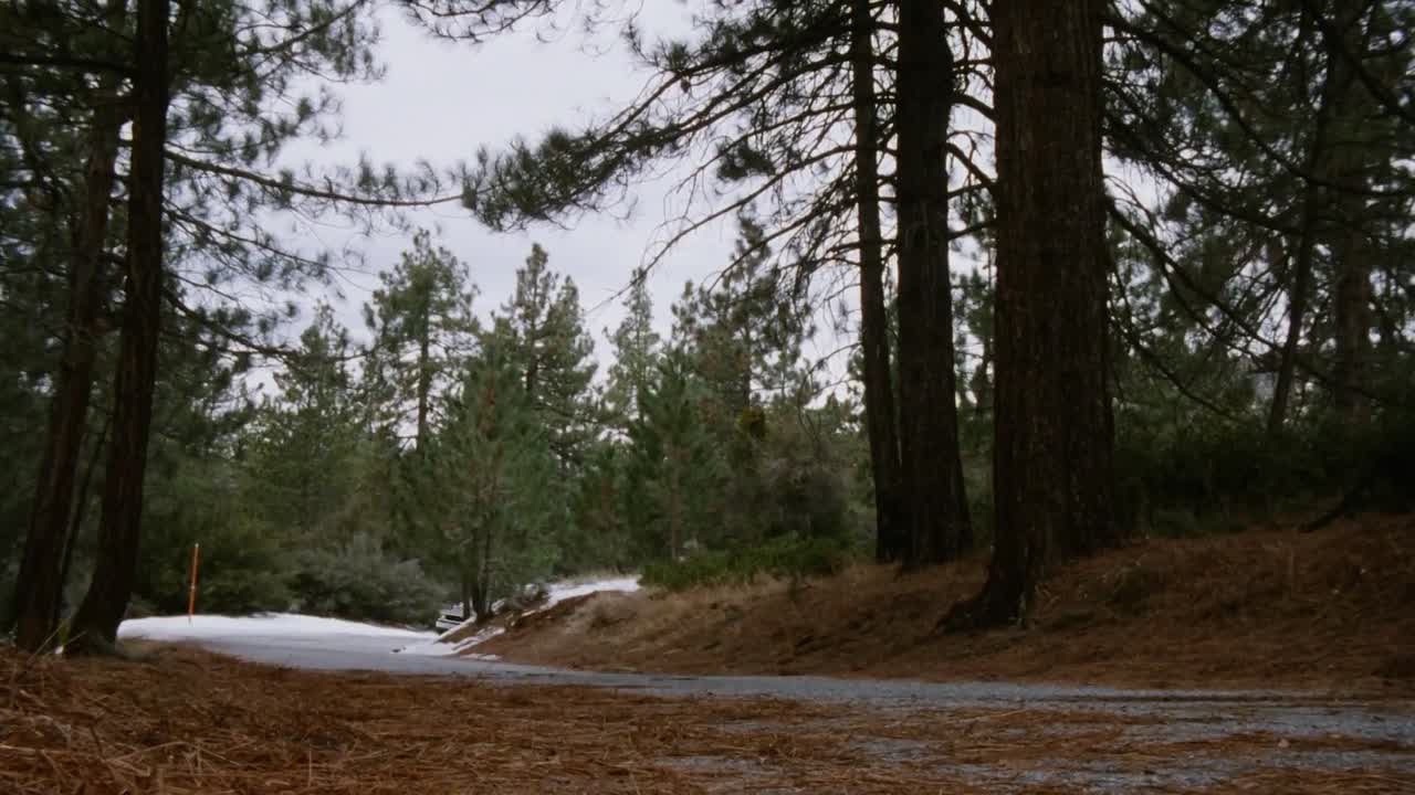 ⁣Ring of Fire 3 Lion Strike 1994 1080p BluRay x264 AAC-rivestream org