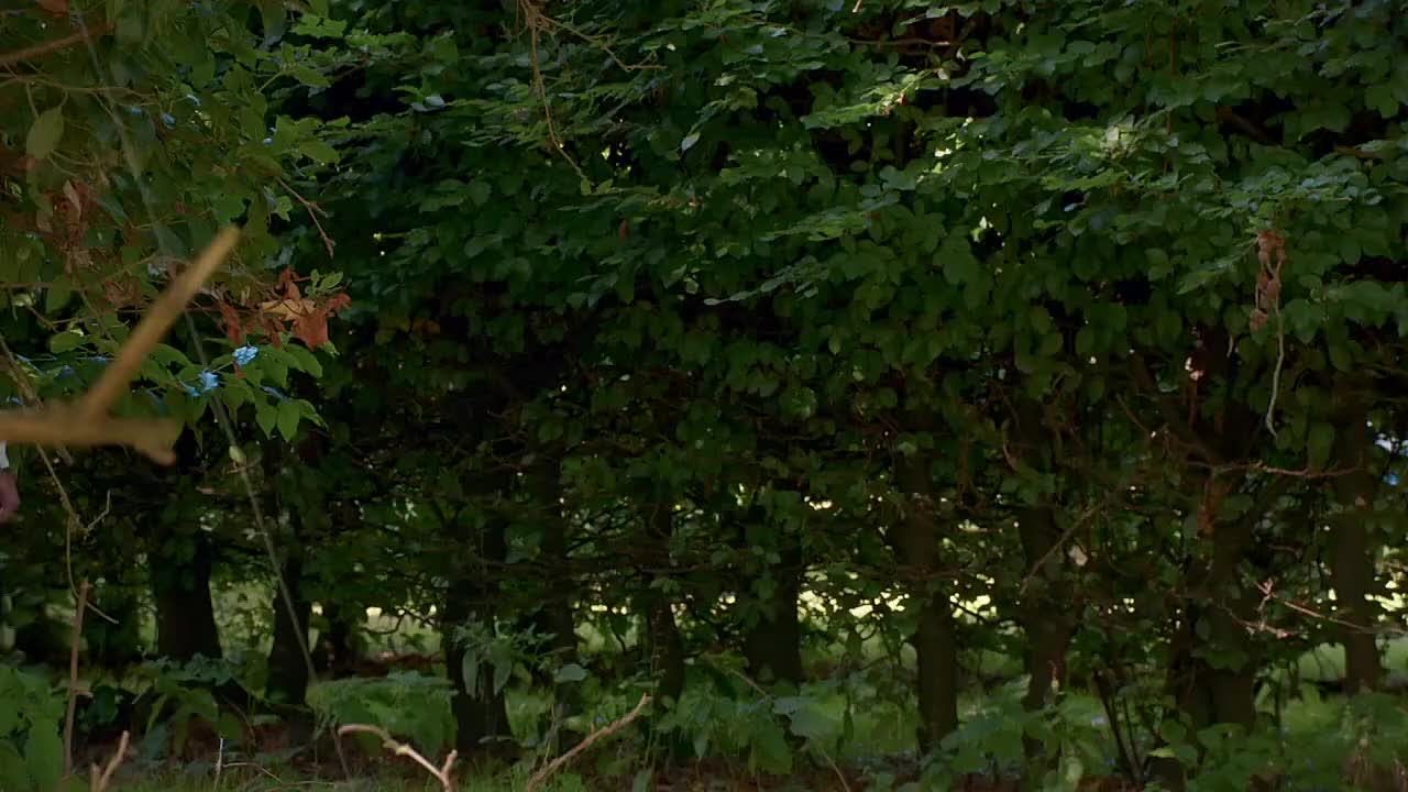 ⁣Junior-Bake-Off-S11E08