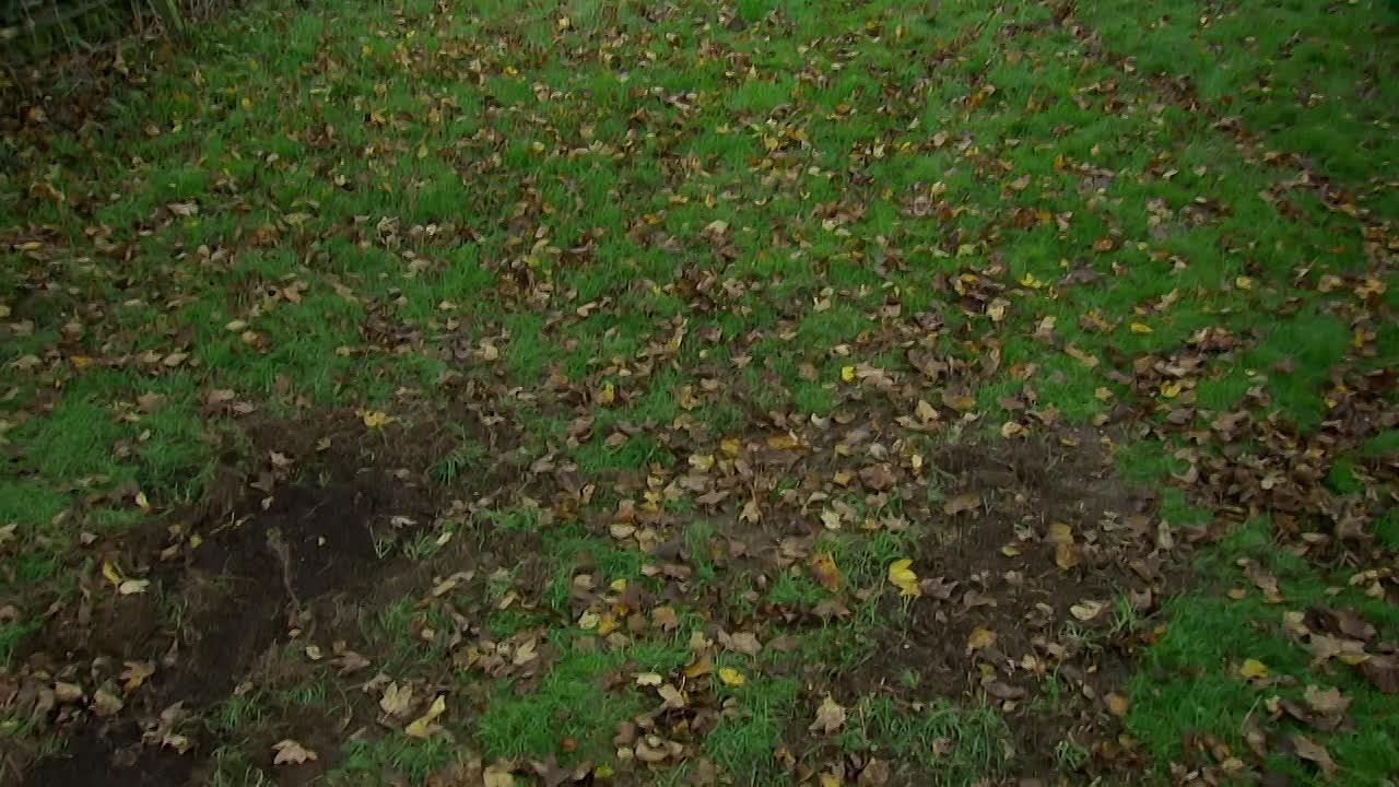 Emmerdale S55E010 (Jan 15 2026)