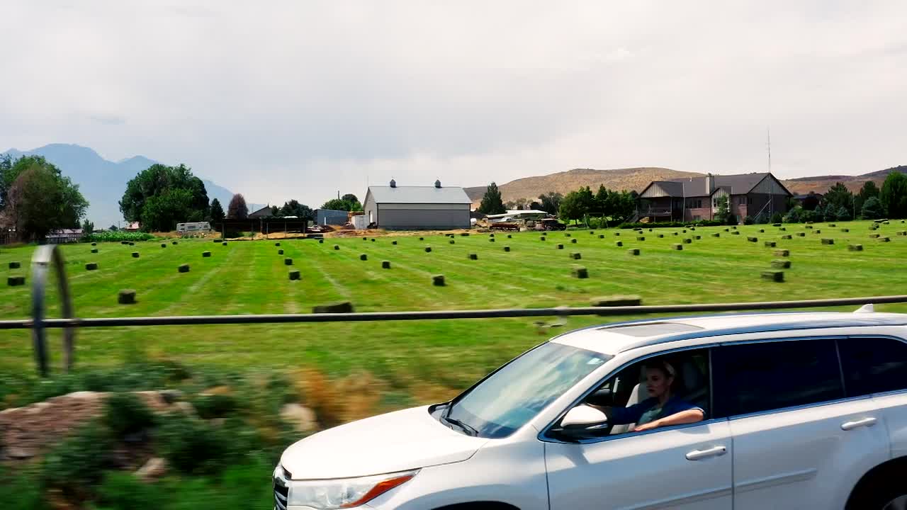 Dishing Up Love 2025 1080p WEBRip x264 AAC5 1-[YTS BZ]