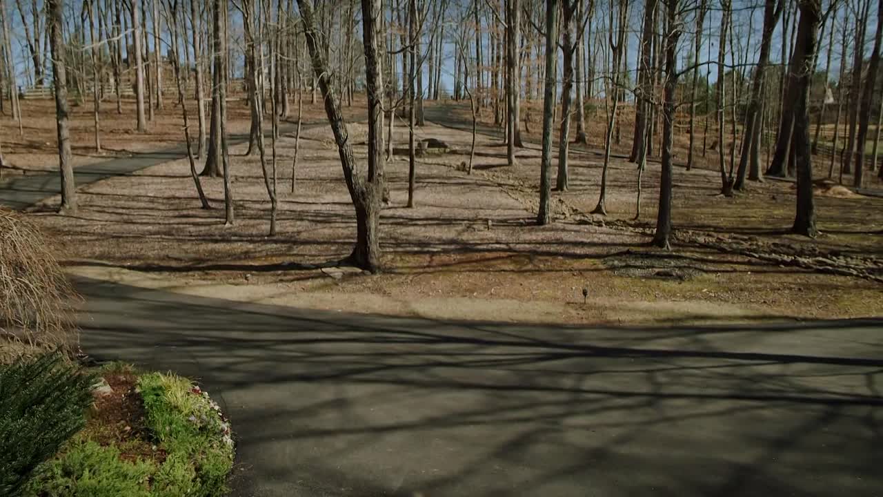 ⁣Twisted House Sitter 2021 1080p WEBRip x264 AAC-[YTS BZ]