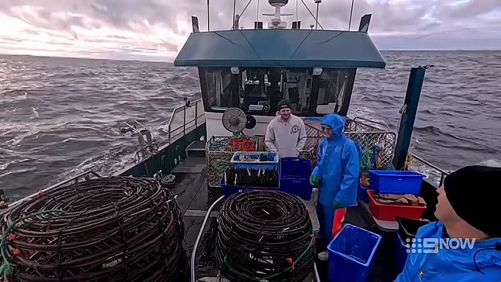 Aussie_Lobster_Men_S05E03_WEB