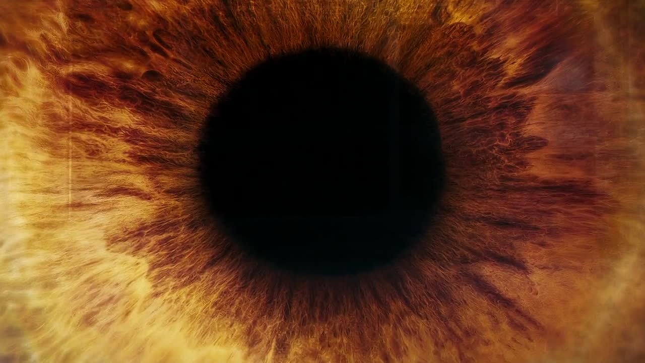 ⁣Perfect Stranger 2007 1080p BluRay x264-[YTS LT]