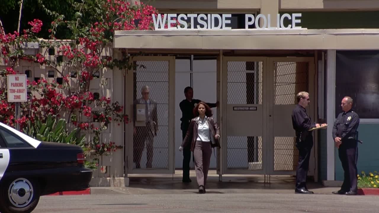 ⁣The Rich Man's Wife 1996 1080p BluRay x264-[YTS AM]