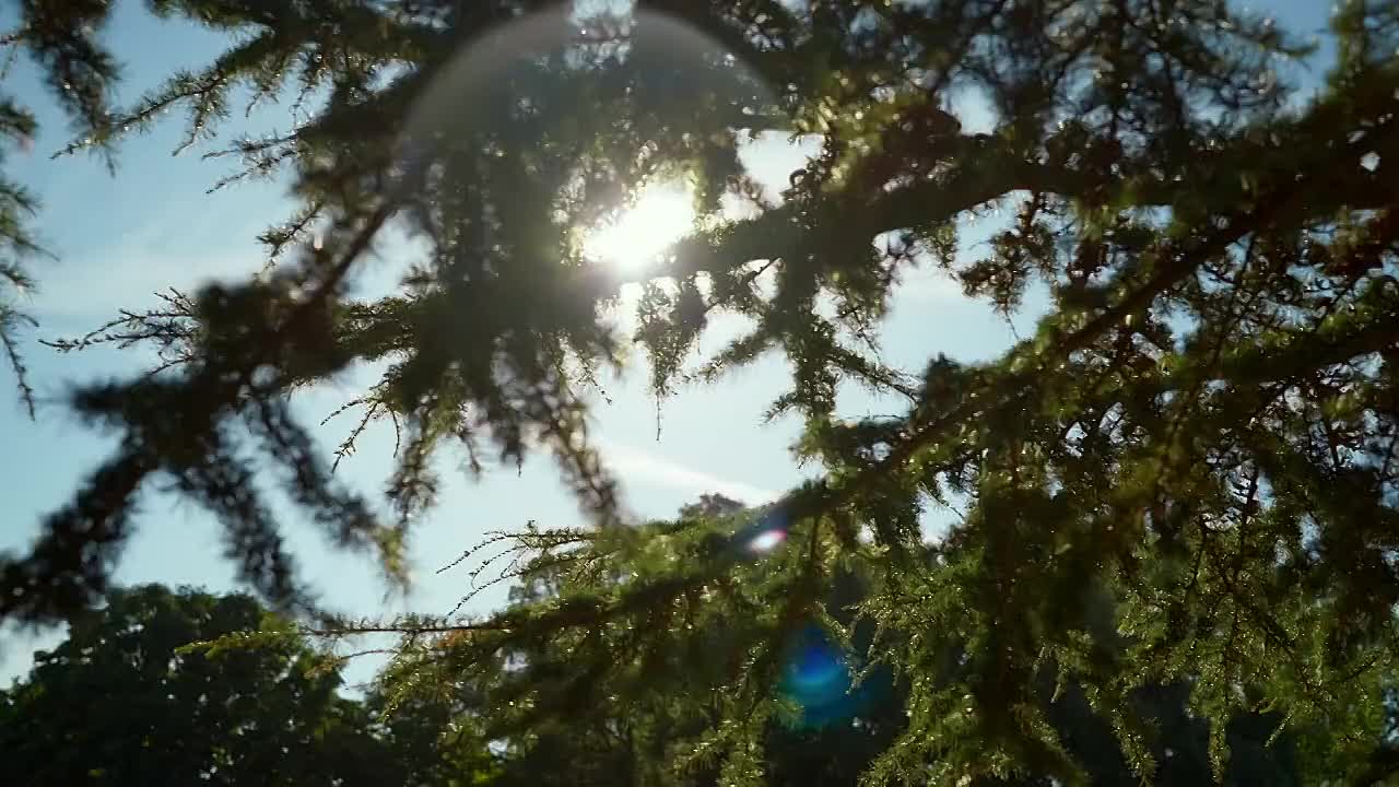 Junior~Bake~Off]~S11E10