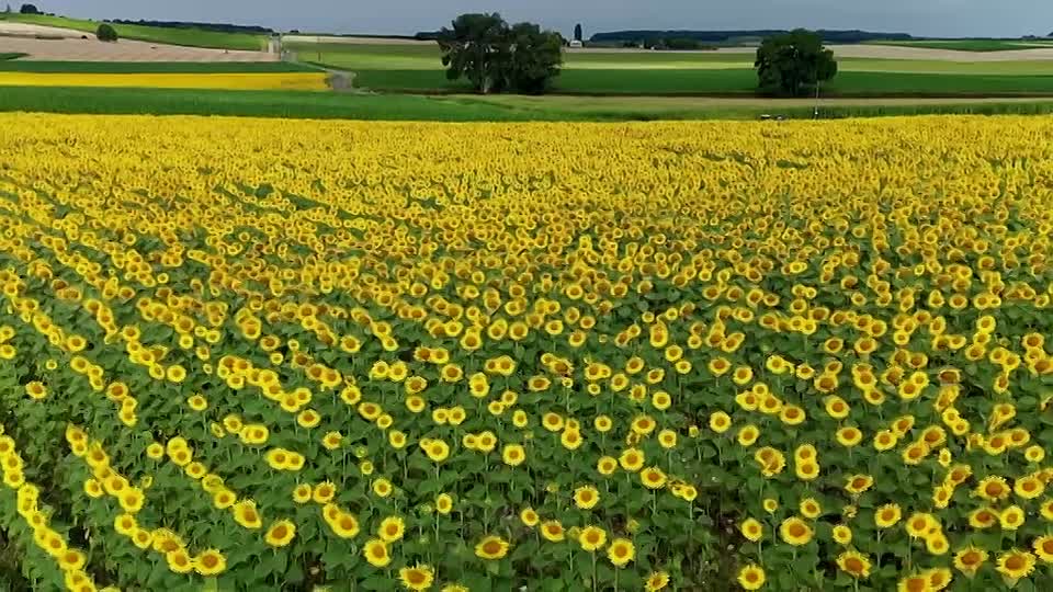 A New Life in the Sun S11E10 (Jan 16 2026)