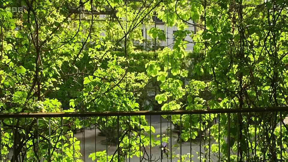 ⁣Monty Don’s Rhineland Gardens - S01E01 (2026)