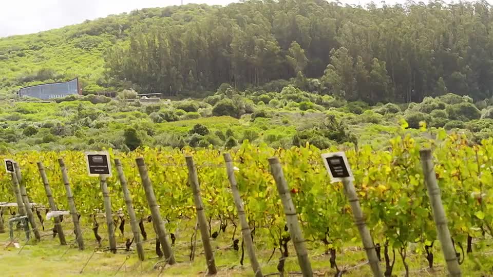 Jane McDonald Pole to Pole S01E03 (Jan 16 2026)