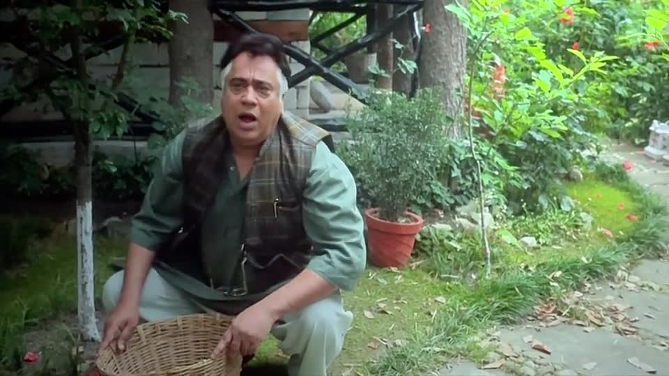 Rahu Ketu 2026 Hindi CAM