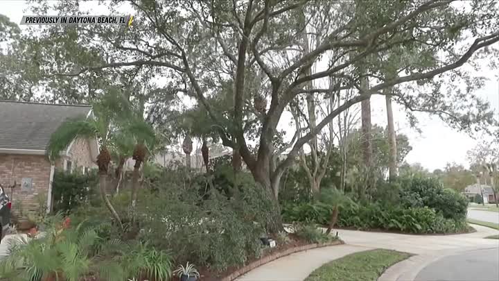 On Patrol Live S04E45 1080p PCOK