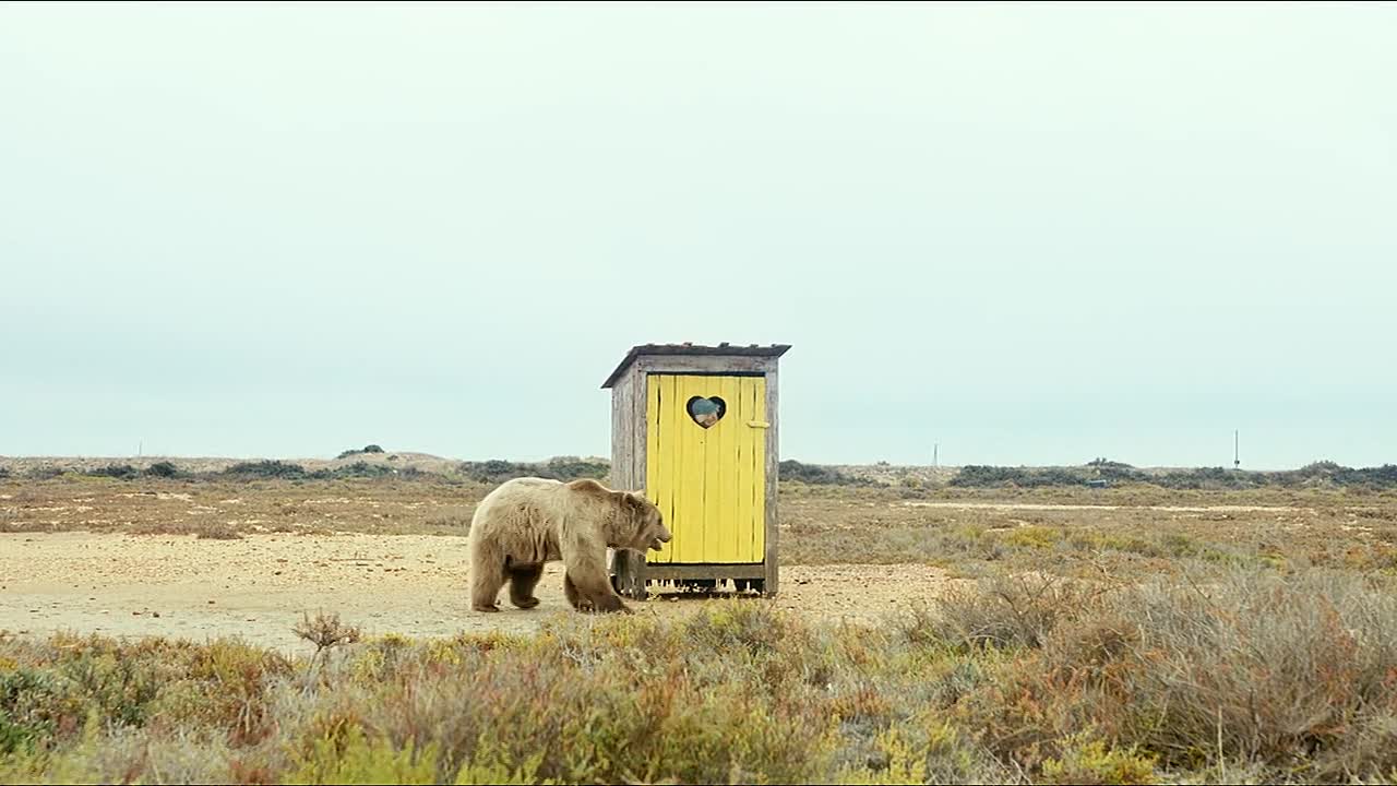 ⁣L Homme Qui A Vu L Ours Qui A Vu L Homme 2025 FRENCH 720P WEBRIP x264 AAC-Wawacity irish