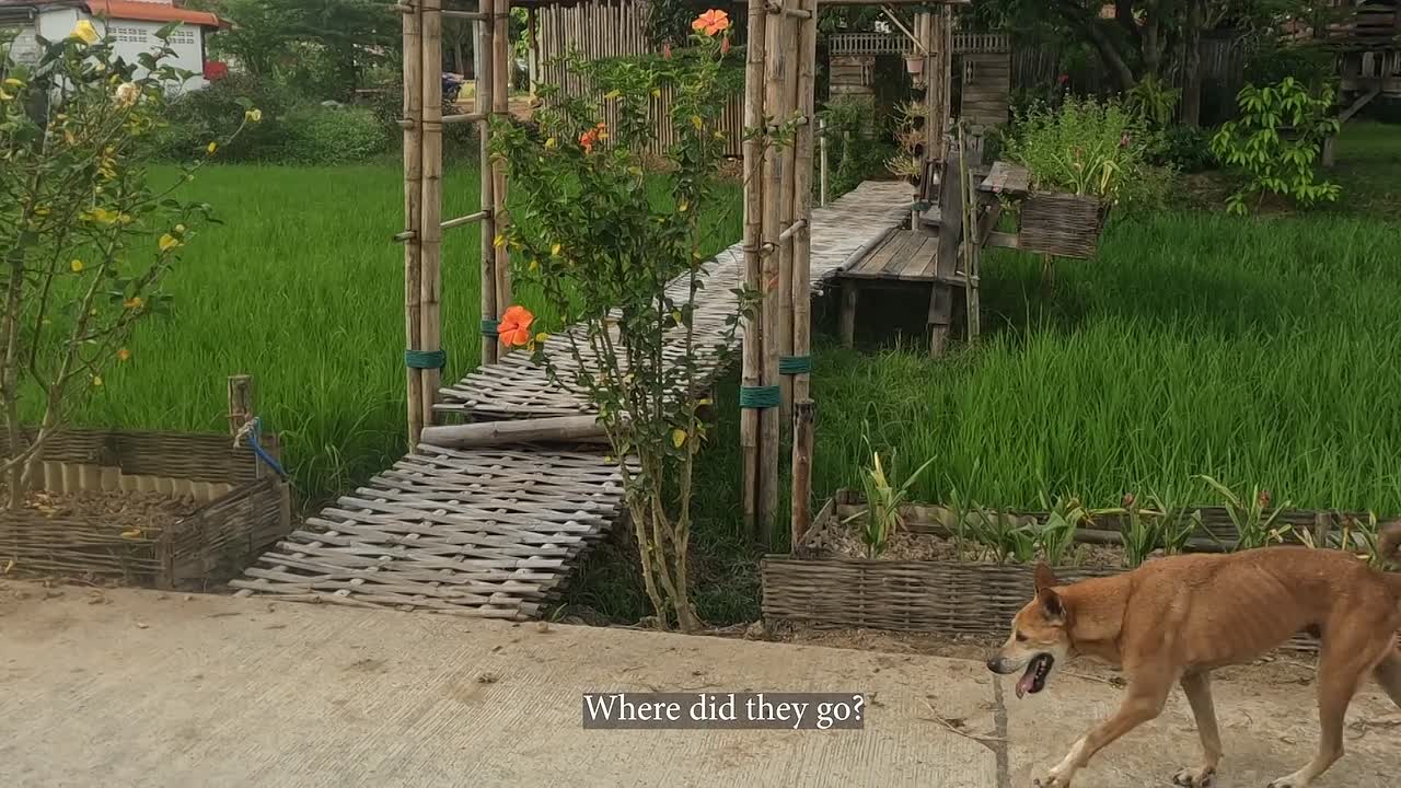 Staycation 2024 1080p WEBRip x264 AAC-[YTS BZ]