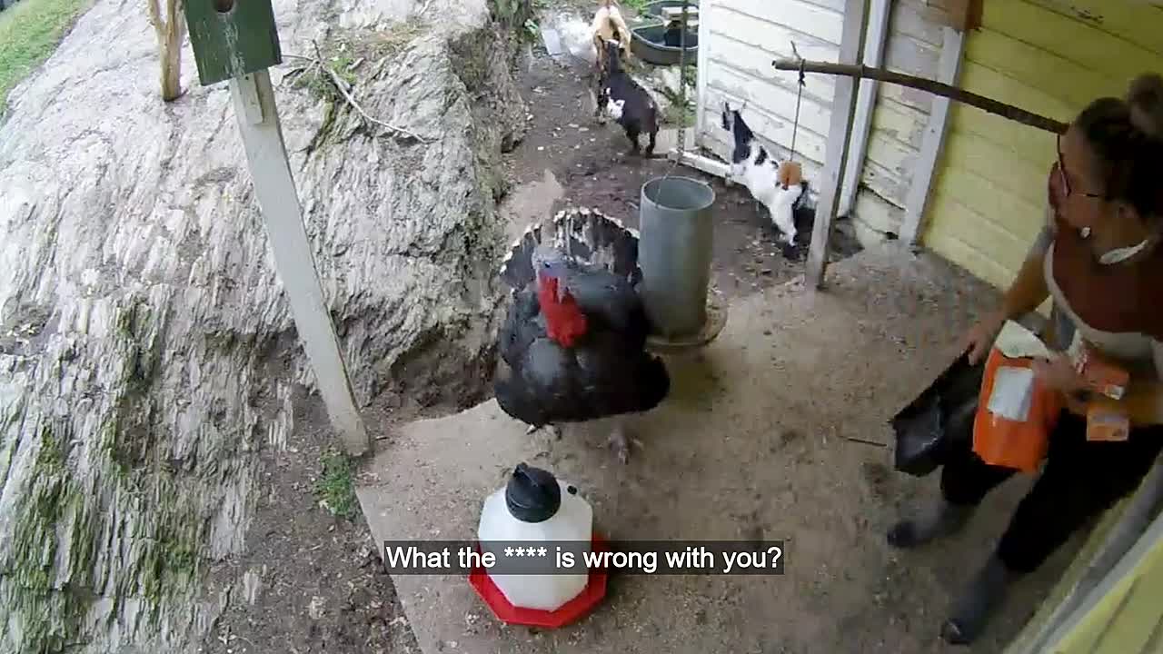 Neighborhood Watch 2026 S01E02 720p WEB H264-JFF