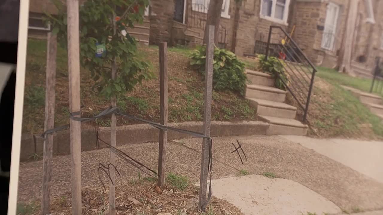 ⁣Judy Justice S04E01 1080p WEB