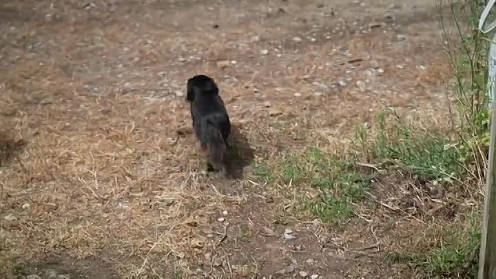 ⁣Saving Country Houses With Penelope Keith S01E02