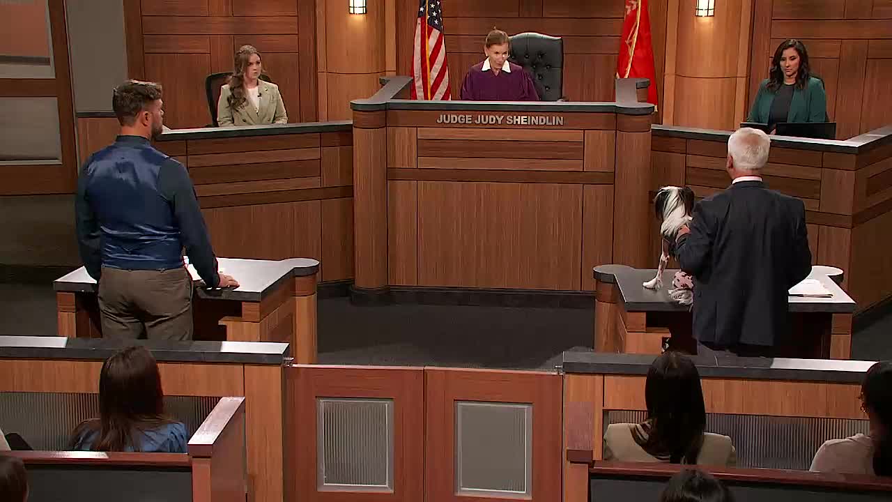 ⁣Judy Justice S04E03 1080p WEB h264-EDITH