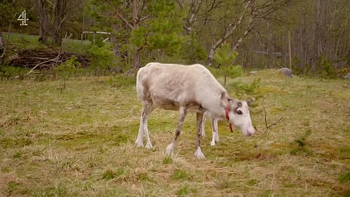 ⁣Lorraine Kelly's Norwegian Odyssey S01E02