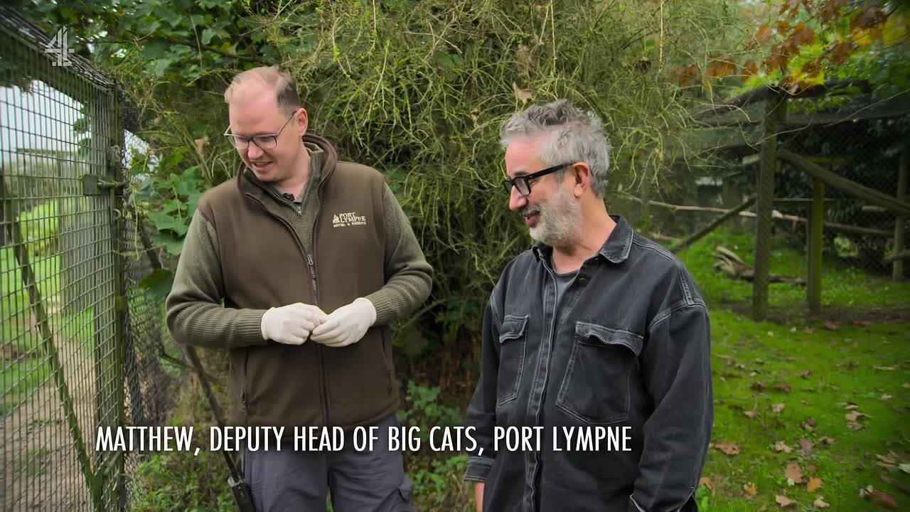 David Baddiel Cat Man S01E02 1080p HDTV H264-DARKFLiX
