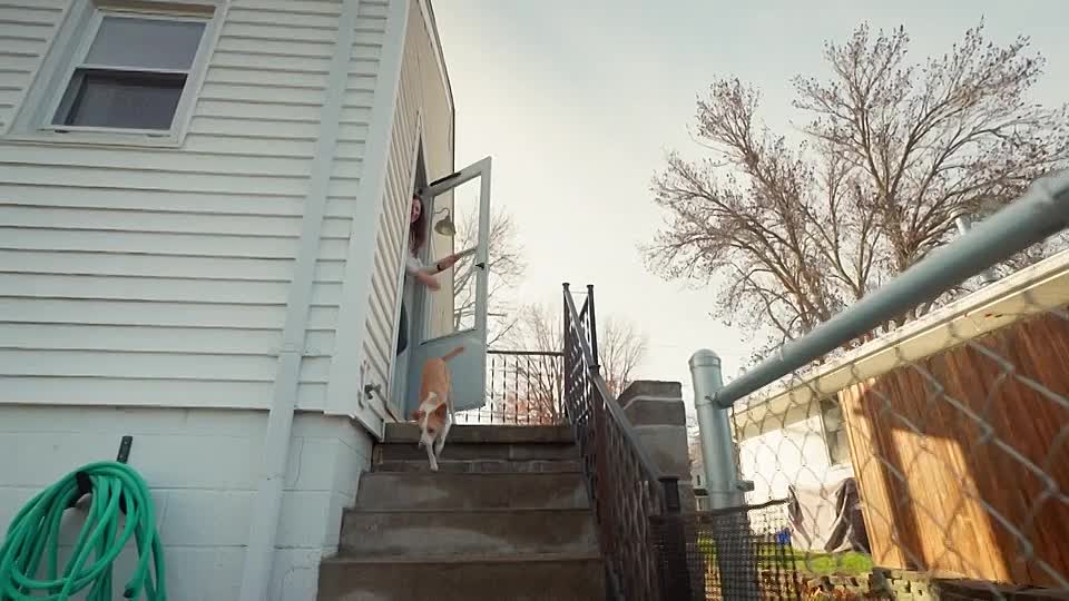 The Nature of Things S65E07 Can Dogs Talk SD AVC AAC eng - DoodStream