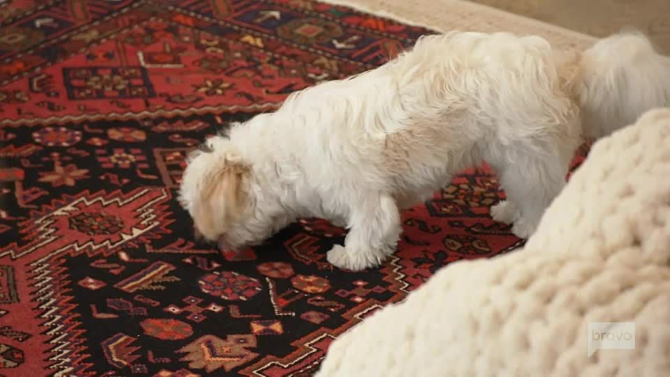 ⁣Southern Charm S11E08-HDTV