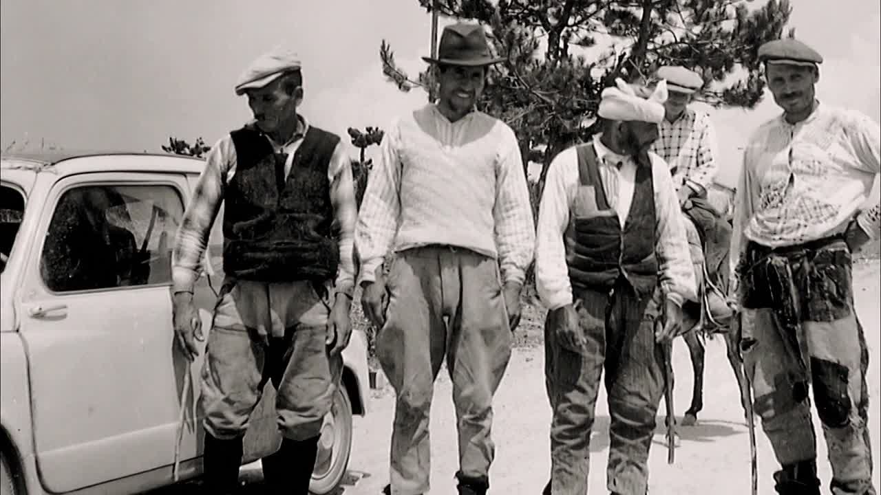 ⁣Verliebte Feinde 2013 GERMAN 1080p WEBRip x264 AAC-[YTS BZ]