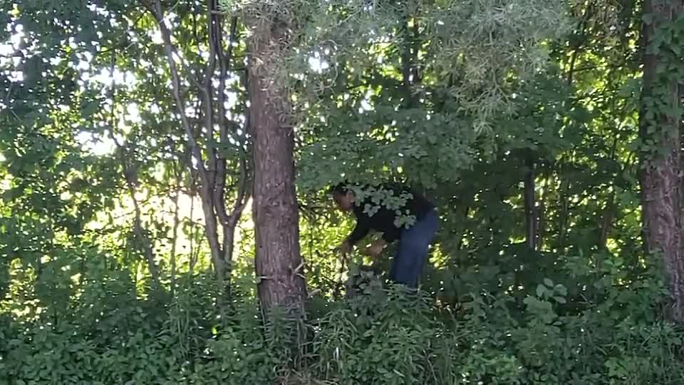 ⁣[►Crime~Beat~Canada◄]~S07E10~WebRip~⭐GLD⭐~.mp4 at S