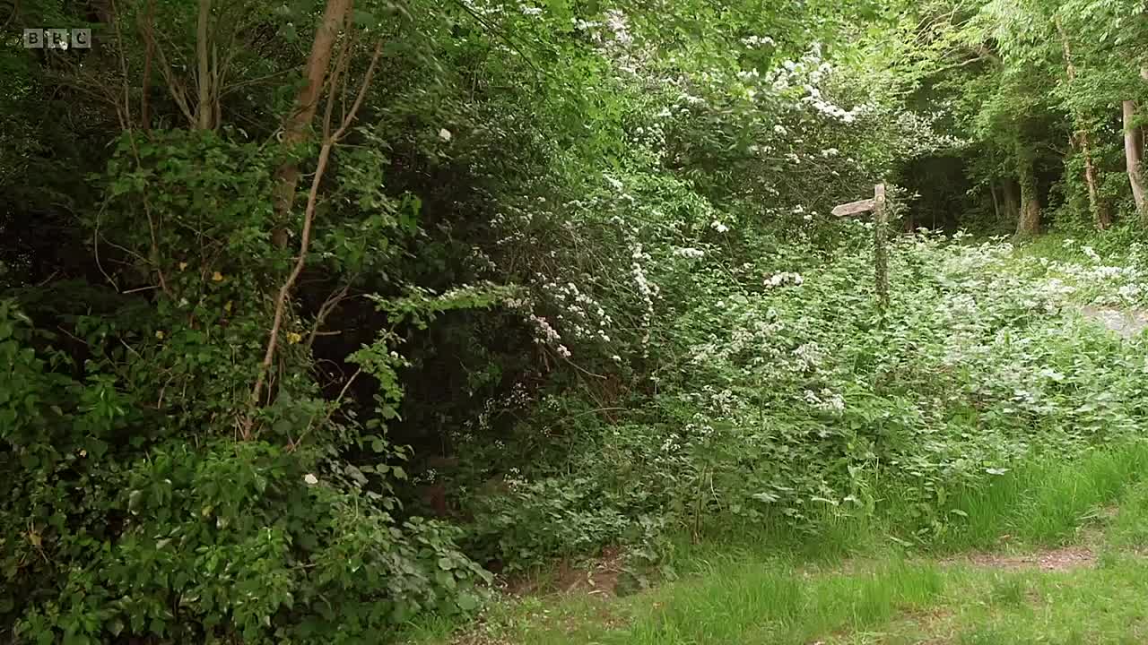 Escape to the Country S26E24 (Jan 22 2026) [1080p mp4 subs] - L