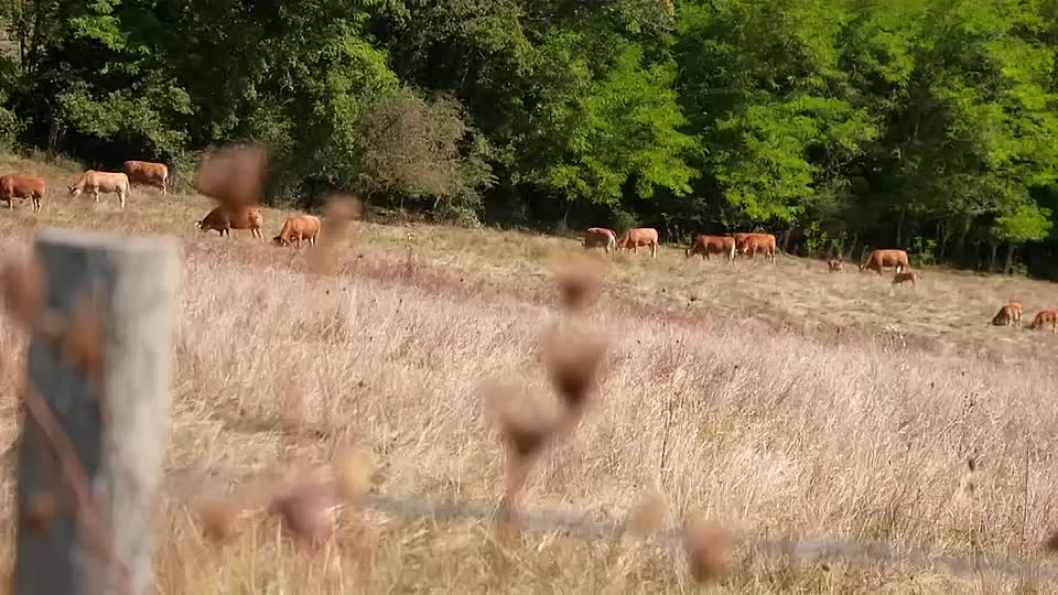 A New Life In The Sun S11E14 HDTV x264-NGP mp4 at S