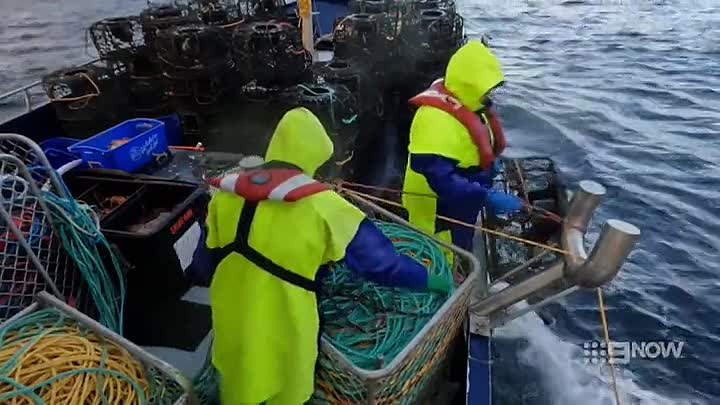 ⁣Aussie Lobster Men S05E04 WEB H264-RBB mp4 at S