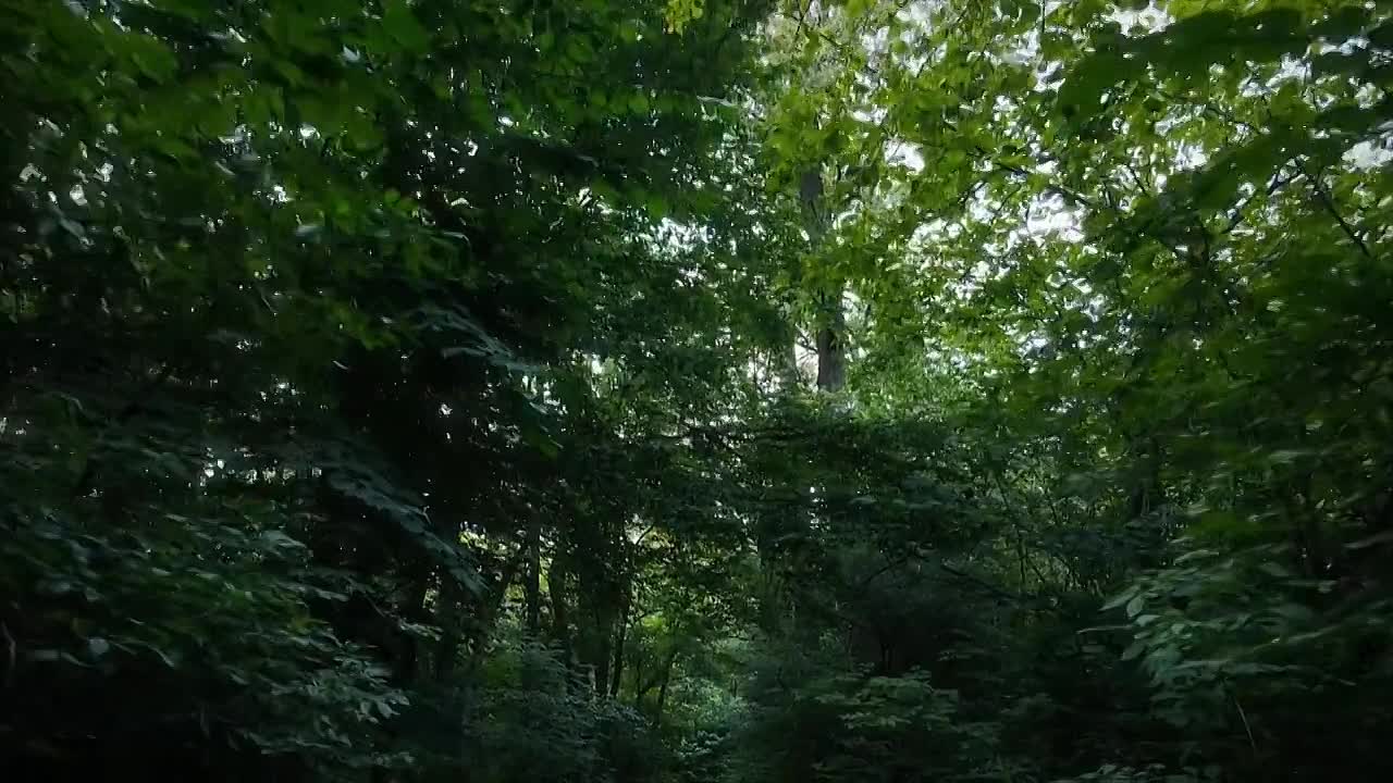 Body In The Water S01E04