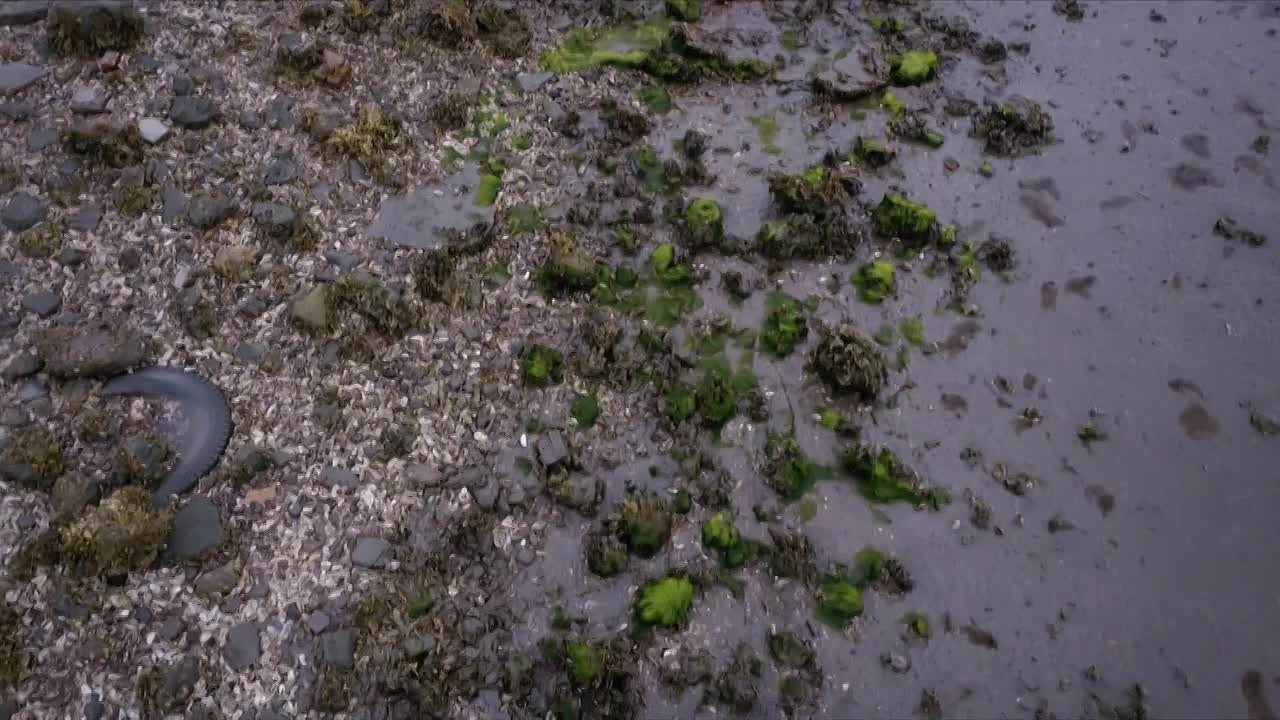 Body In The Water S01E06