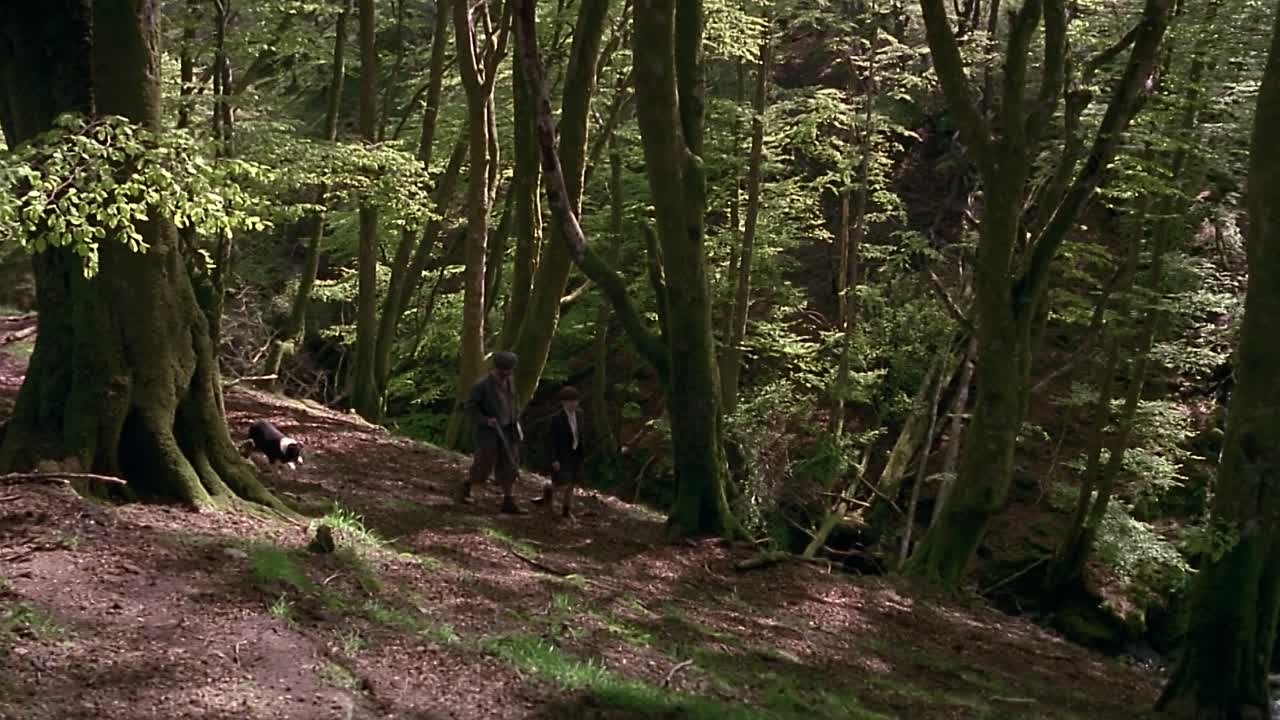 My Life So Far 1999 1080p WEBRip x264 AAC5 1-