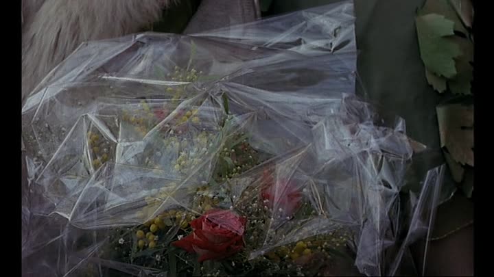 Adam et Eve 1984 French DVDRip XviD