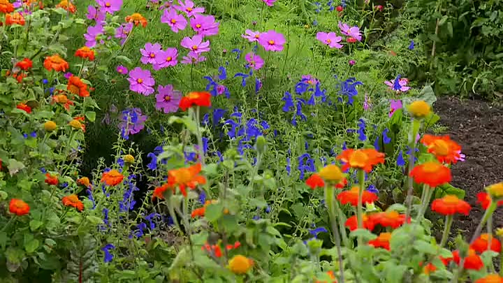 Bargain Hunt S73E11 WEB H264-RBB mp4 at