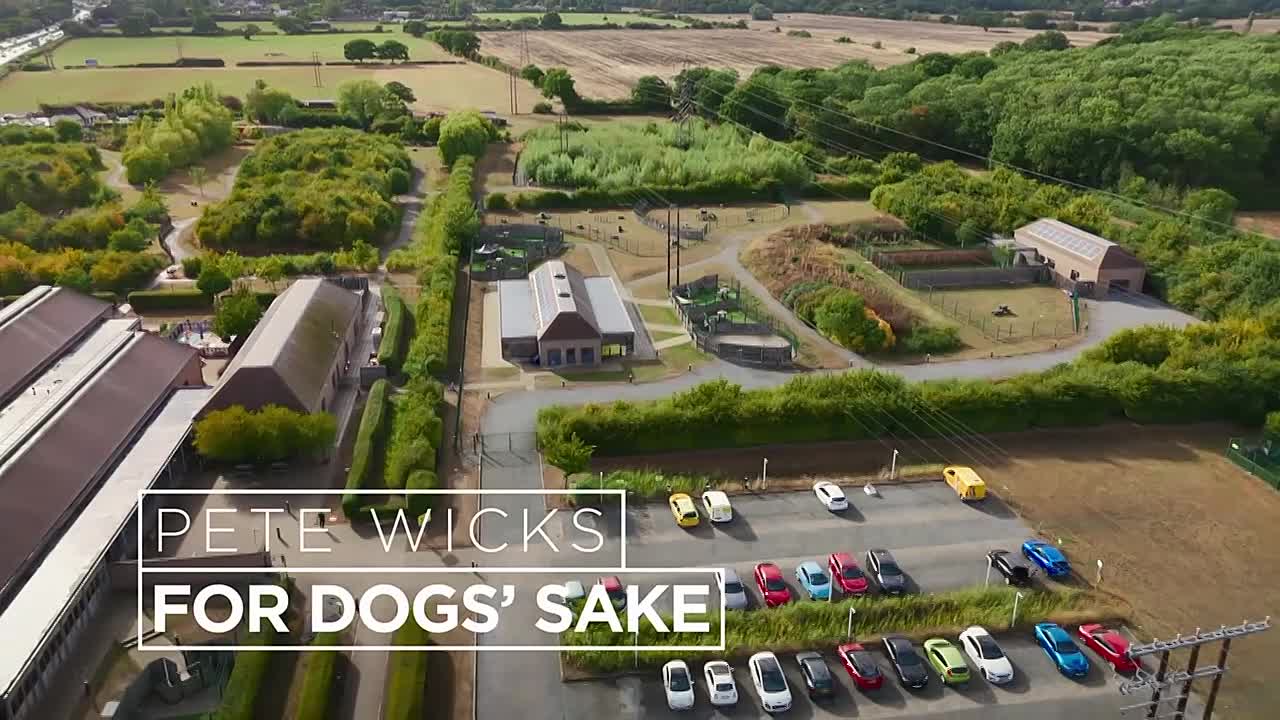 pete wicks for dogs sake s03e01 720p web h264-skyfir