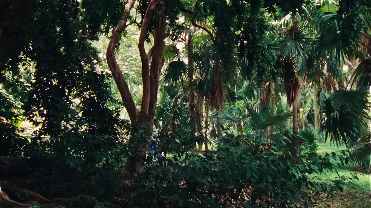 ⁣The Ballad Of Suzanne Cesaire 2024 1080p WEBRip x264 AAC-[YTS BZ]