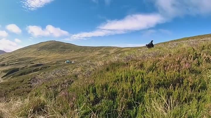 Guy Martin -Proper Jobs S01E04 -Mountain Rescue Dog Handler