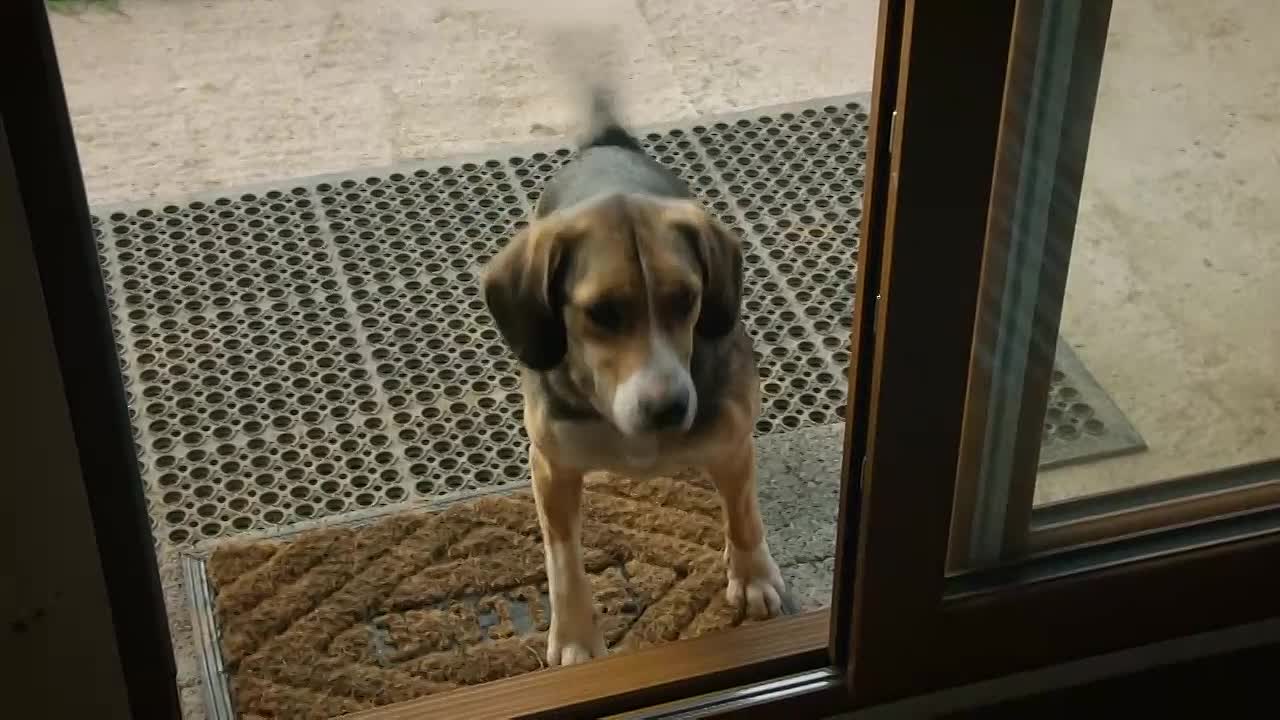 Guy Martin -Proper Jobs S02E03 -Dairy Farmer