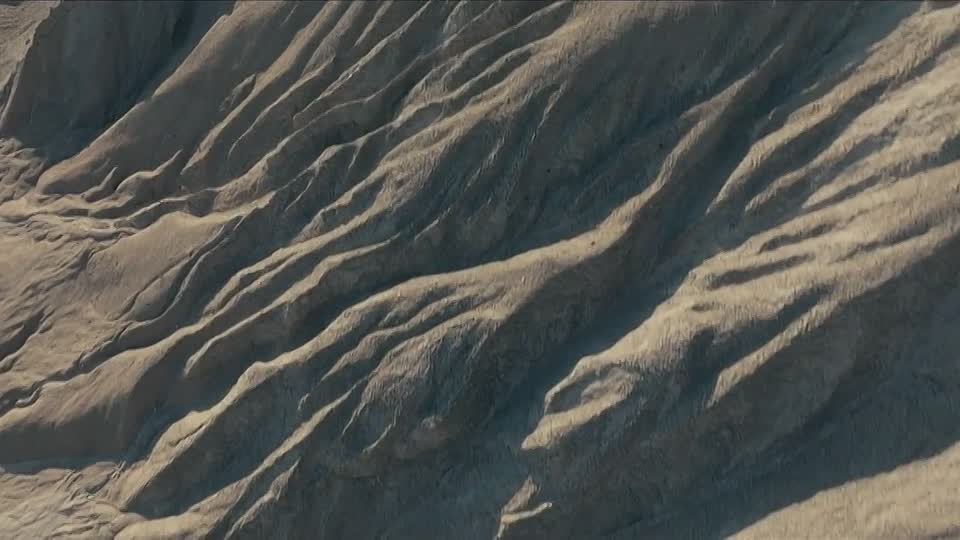 Egghead Republic 2025 720p WEBRip