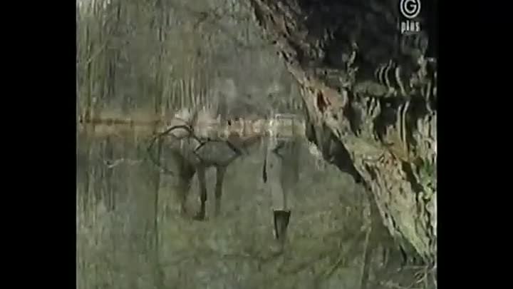 Saturday Night Thriller s01e05 Broken Glass