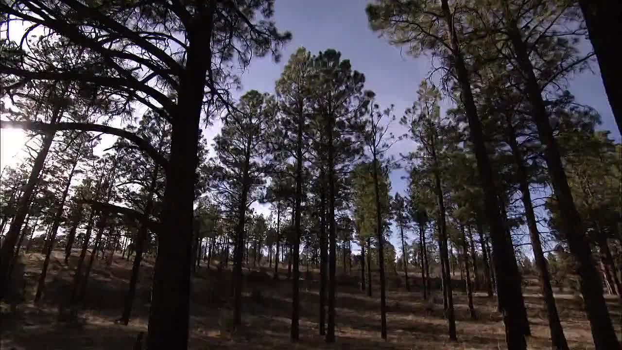 Mysteries at the Monument S01E04